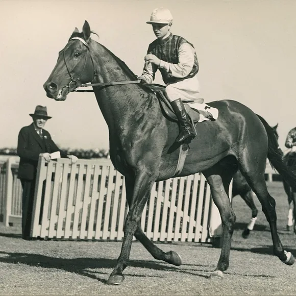 Caulfield Racecourse precinct in Caulfield, Melbourne